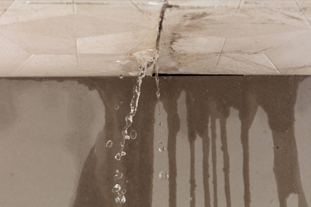 Professional Sewage Cleanup technician working in Croswell, MI